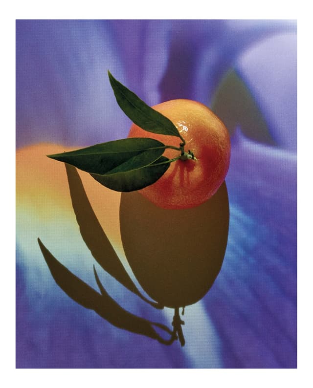 Thumbnail 2 de LOEWE Solo Elixir Eau de Parfum 100 ml