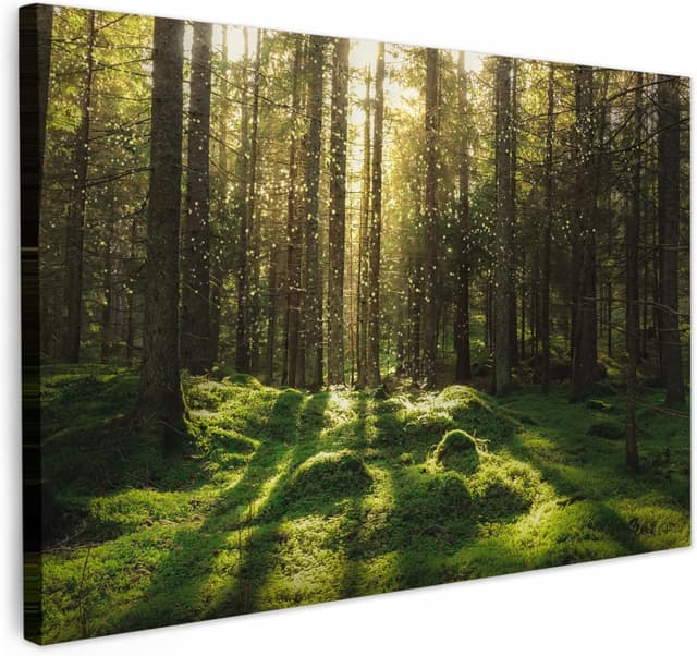 Imagen de MuchoWow Impression sur Toile 30x20 cm en OfertitasTOP