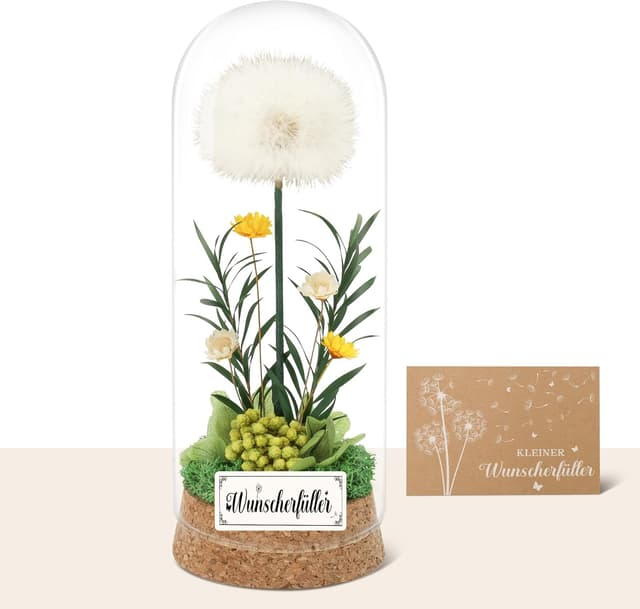 Thumbnail 6 de Wunscherfüller Pusteblume im Glas (16 x 6 cm) – Geldgeschenk als Glücksbringer für Frauen