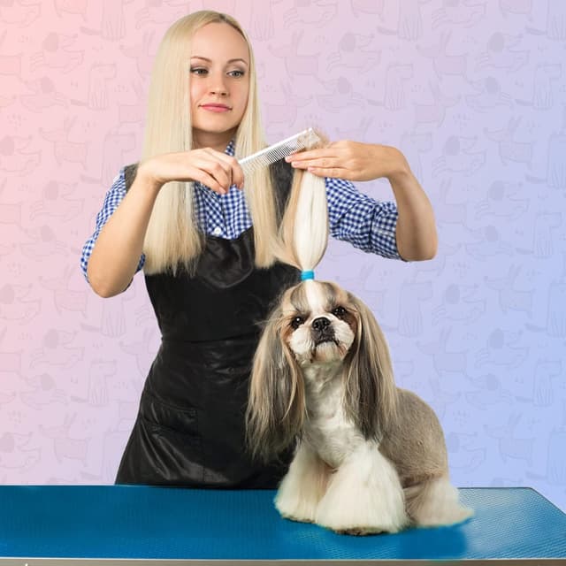 Thumbnail 6 de Nobleza 2-en-1 peigne toilettage 17 cm đŸ