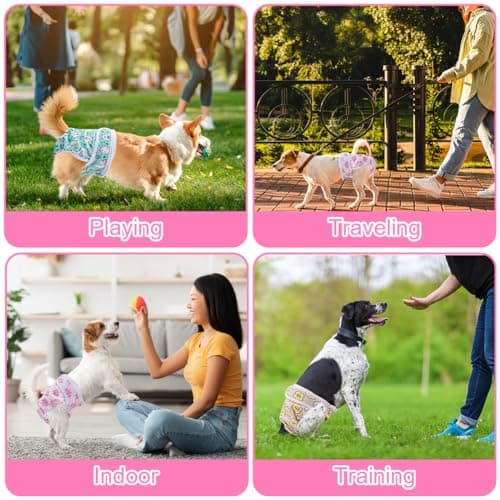 Thumbnail 7 de Aomig Pannolini Lavabili per Cani Femmina S