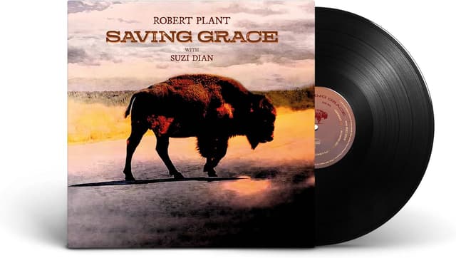 Detalle de Saving Grace Vinile nero Nonesuch: il vinile per chi vuole un ascolto essenziale e d’impatto
