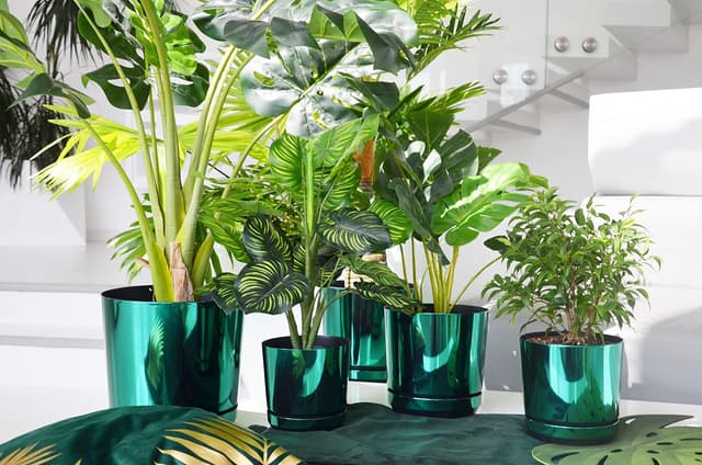 Thumbnail 4 de KERD Blumentopf-Set 5x12 cm Glänzend Grün