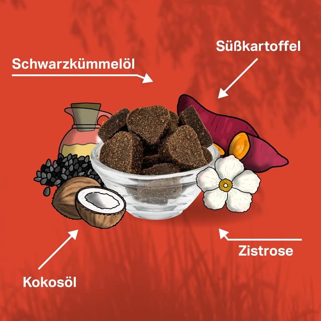 Detalle 2 de MEDIDOG Zeggi Weggi Premium Drops für Hunde mit Schwarzkümmelöl & Lammprotein – 400 g