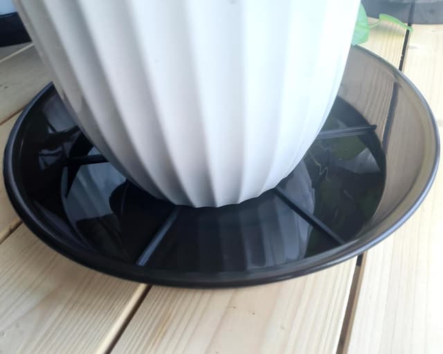 Thumbnail 5 de NIMYAU Plant Saucer 12 Inch 6 Pack