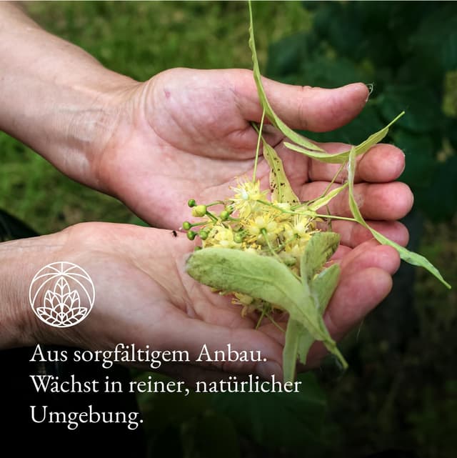 Detalle de Lindenblütentee Monte Nativo (200 g) – 100% Lindenblüten, schonend getrocknet