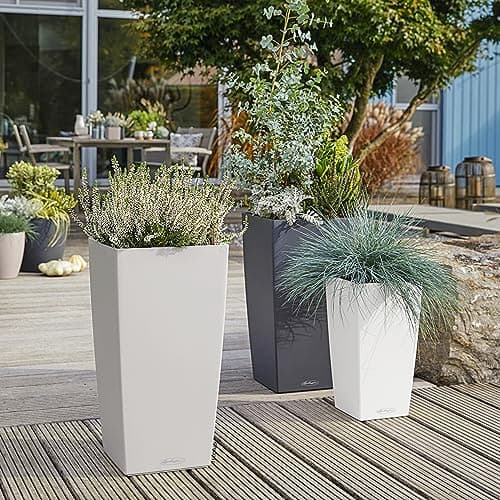 Thumbnail 6 de Lechuza Cubico Color macetero 30 litros blanco