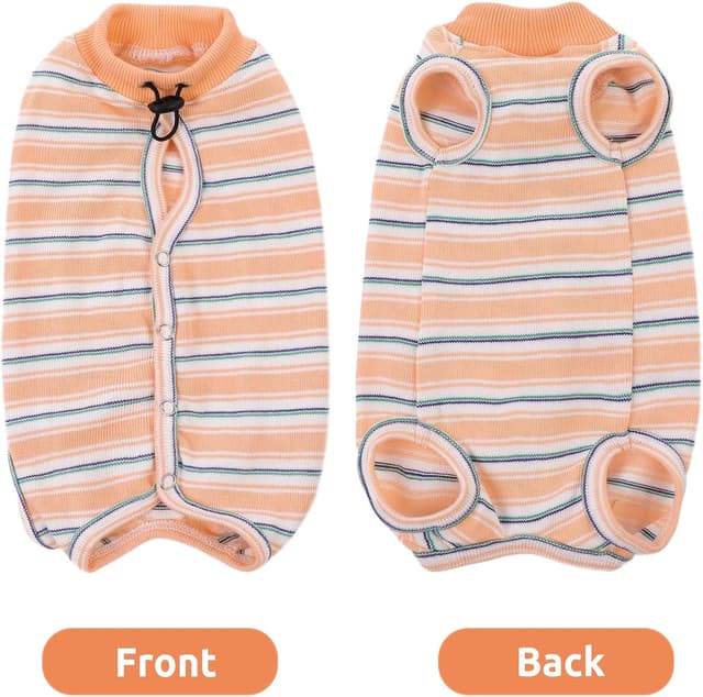 Thumbnail 6 de CITÉTOILE Katzenbody XS 🐾