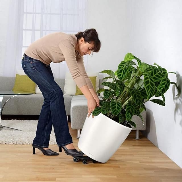 Detalle 1 de Lechuza 16080 Maceta Classico Premium Blanco 43 LS