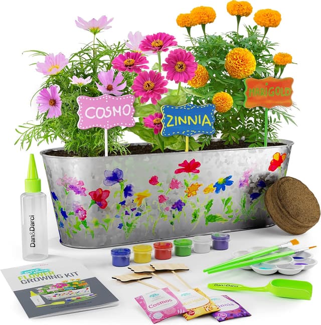Imagen de Dan&Darci Paint & Plant Flower Kit en OfertitasTOP