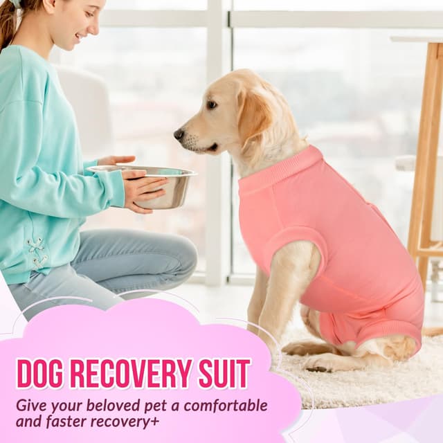 Thumbnail 6 de Eyein Dog Surgery Recovery Suit (Adjustable), Soft Recovery Onesie Alternative to a Cone, Size L