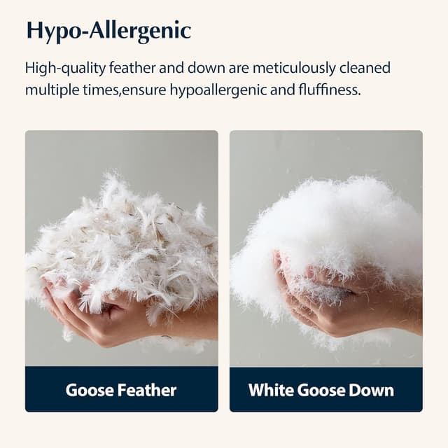 Detalle 2 de Pacific Coast Pillows Queen Set of 2