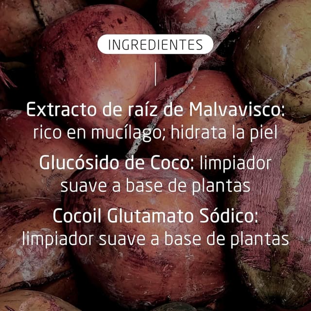 Thumbnail 4 de Weleda Espuma Limpiadora Facial Suave 🌿 - Piel Normal/Mixta