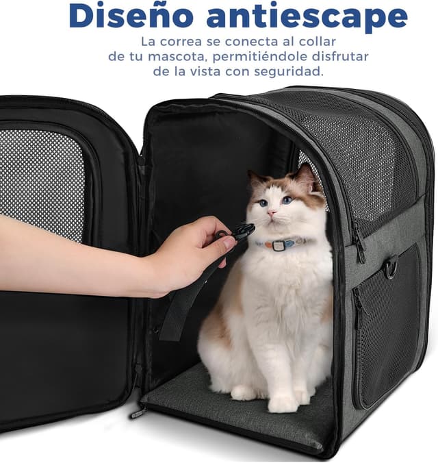 Detalle de APOLLO WALKER Mochila mascotas 5–12 kg