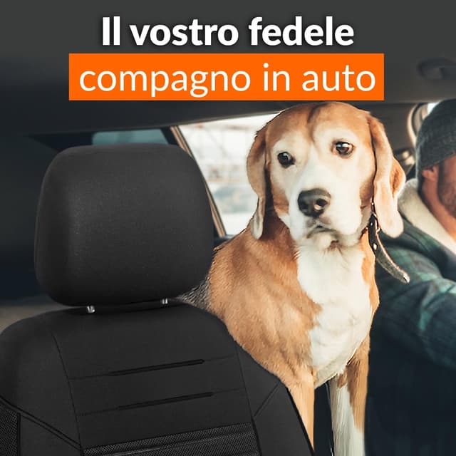 Thumbnail 5 de Upgrade4cars Coprisedili Auto Anteriore Universali Nero