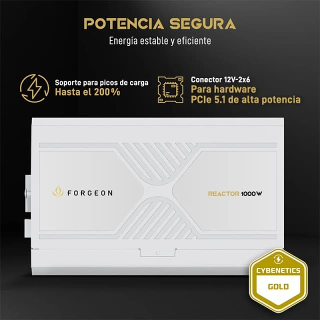 Detalle 2 de Forgeon Reactor 1000 Fuente de alimentación ATX 3.1