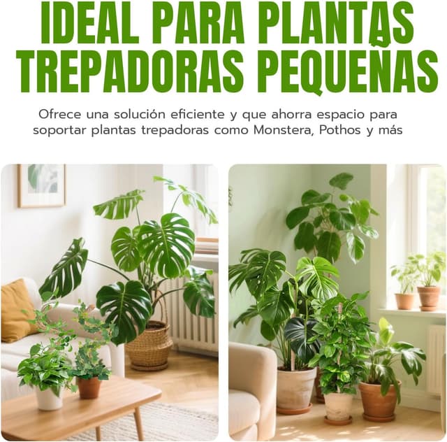 Thumbnail 2 de Wigearss Tutor de Coco 70 cm para plantas trepadoras