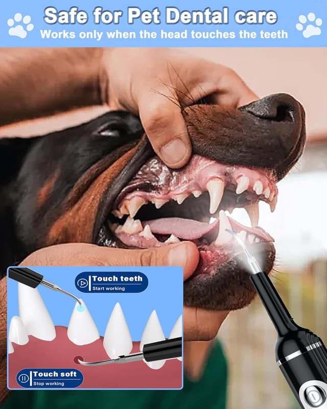 Detalle de Stim-U-Dent Dog Plaque Remover for Teeth with LED light and rechargeable toothbrush heads