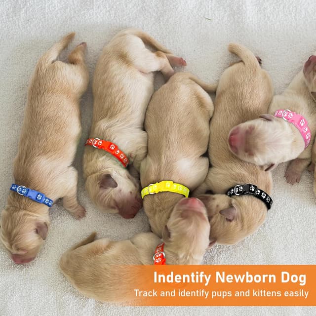 Thumbnail 6 de GAMUDA Puppy Whelping Collar Set – Soft Nylon Adjustable ID Bands with Paw Print Pattern, Safety Buckle & Record Charts