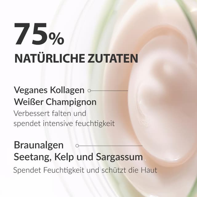 Detalle de MIZON PHYTO PLUMP COLLAGEN NIGHT CREAM – vegane Kollagen-Nachtcreme (50 ml) für Feuchtigkeit & Falten