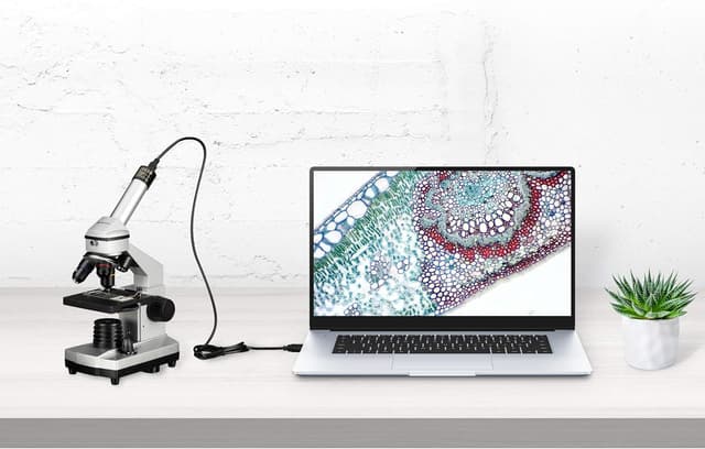 Detalle 2 de Bresser Junior Mikroskop 40x-1024x USB