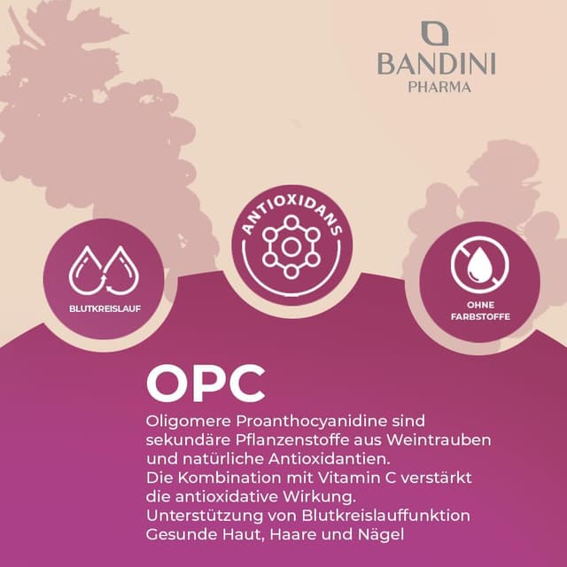 Detalle 2 de Bandini OPC Traubenkernextrakt mit 200 Kapseln
