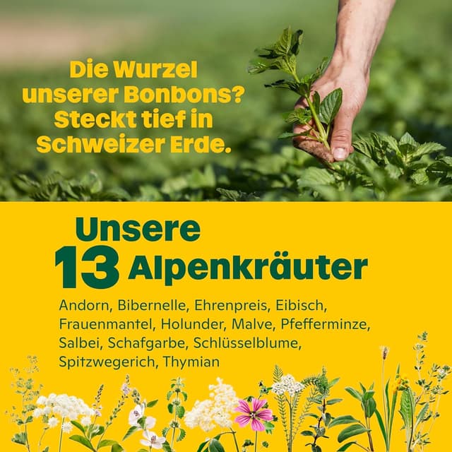 Detalle 2 de Ricola Holunderblüten zuckerfreie Kräuter-Bonbons (10 x 50 g, vegan)