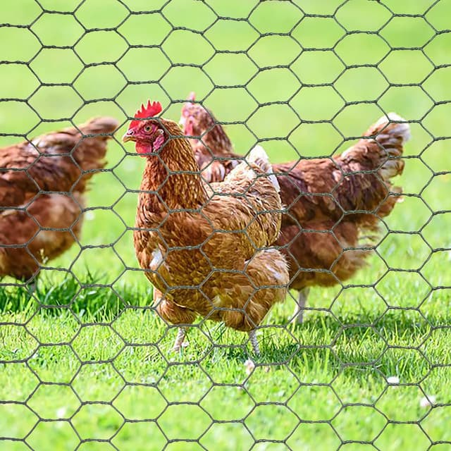 Detalle de Cymax 3m x 0.4m Chicken Wire Mesh Roll (25mm hex holes) galvanised wire fencing roll