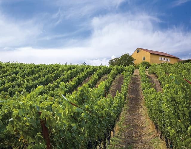 Detalle de Marimar Estate Mas Cavalls Pinot Noir vino 75 cl