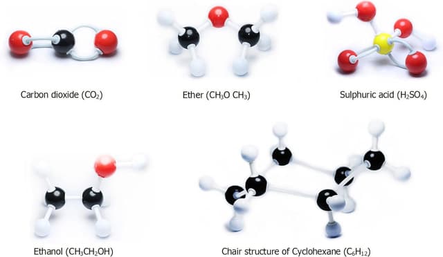 Detalle 2 de Kit modèles moléculaires LINKTOR 189 pièces