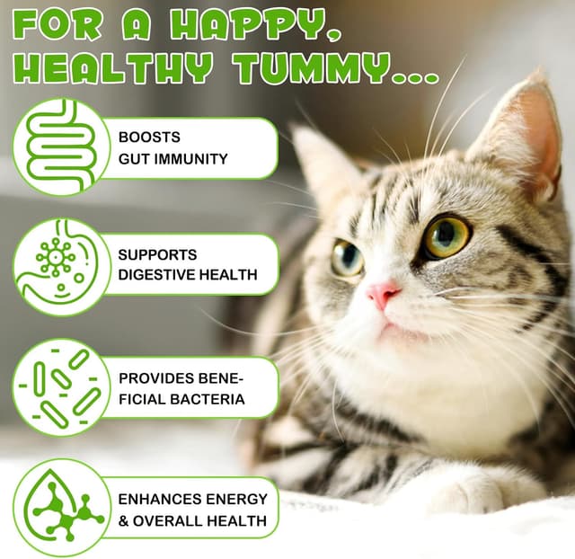 Detalle 2 de Probiotika für Katzen 3-in-1, 6 Mrd. KBE 🐱