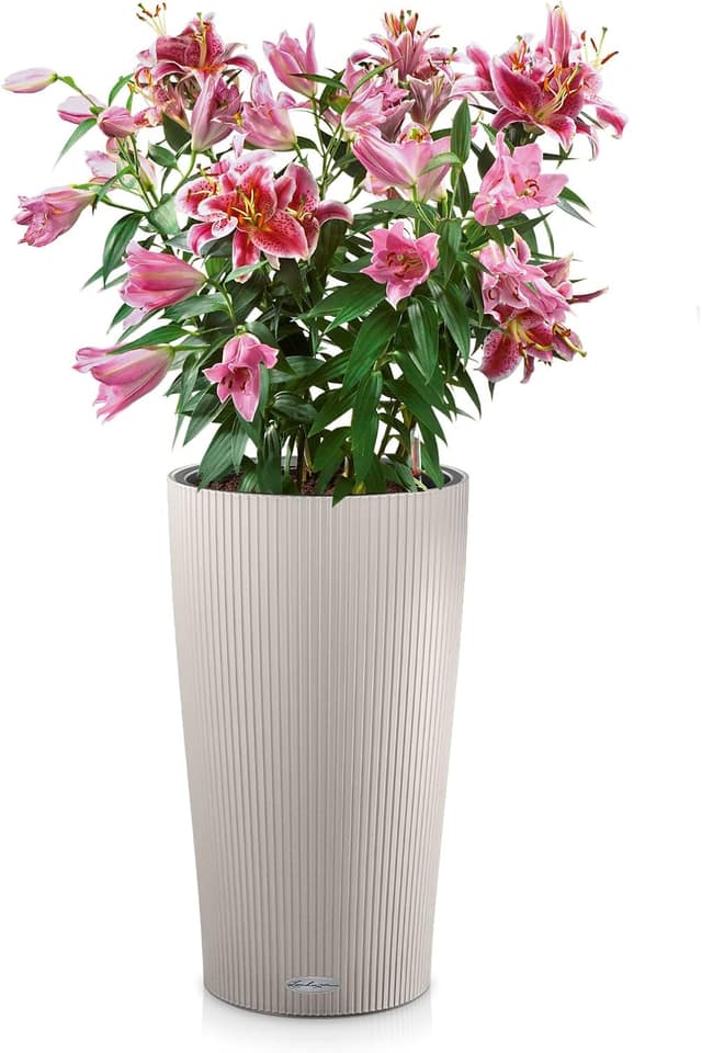 Thumbnail 1 de LECHUZA ZYLINDER 23 sandbraun 13948