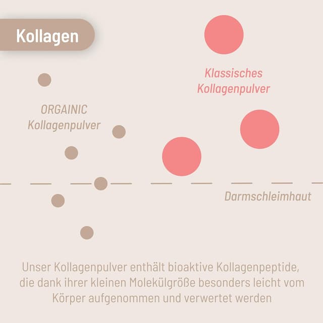 Detalle 2 de Kollagen Pulver 700 g Typ 1&3