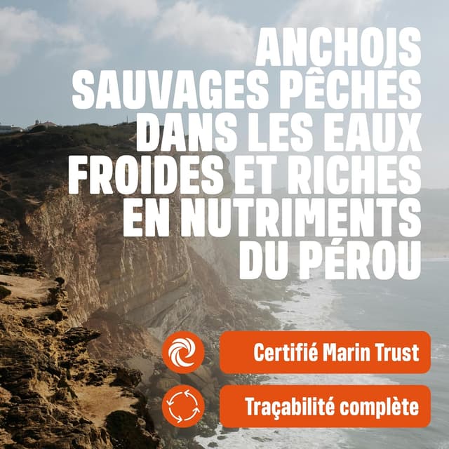 Detalle de ivvi Huile de Poisson Péruvienne pour Animaux de Compagnie – 250 ml (oméga-3, triple filtration)