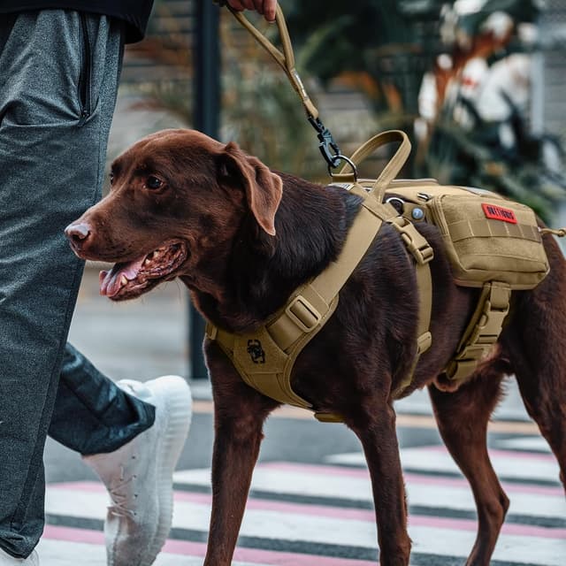 Detalle de OneTigris Service Dog Vest Harness with Cape & MOLLE Pouches (Brown, M)