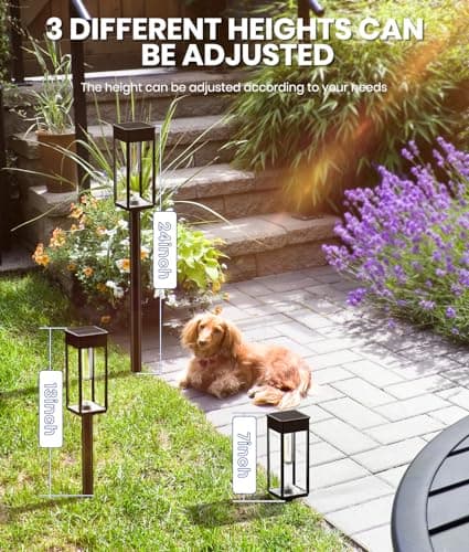 Thumbnail 5 de NEWMESSI Solar Path Lights 6-Pack for Outdoor Gardens