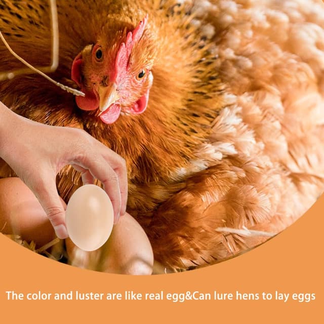 Thumbnail 5 de Holzeier Nesteier 5 Stück 6×4,5 cm 🐣