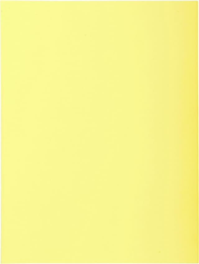 Detalle 2 de EXACOMPTA Paquet 50 chemises 24x32 cm