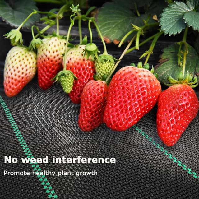 Thumbnail 1 de OUNUO Unkrautvlies 3x10m 90 g/m²