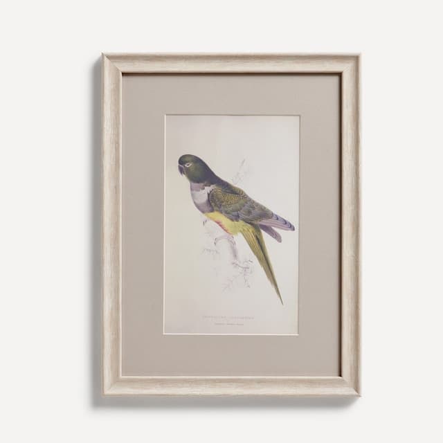 Thumbnail 2 de El Corte Inglés Set de 4 cuadros Pájaros 📷