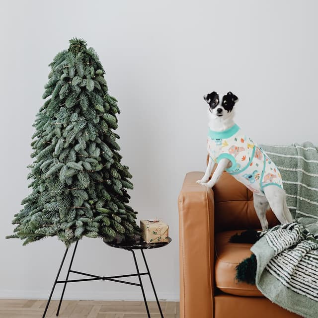 Detalle 2 de Kuoser chirurgischer Genesungsanzug für Hunde und Katzen – postoperatives Erholungshemd als Alternative zum Kegel