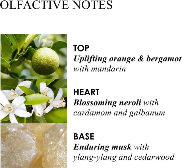 Detalle 2 de Hand cream 40 ml Orange & Bergamot