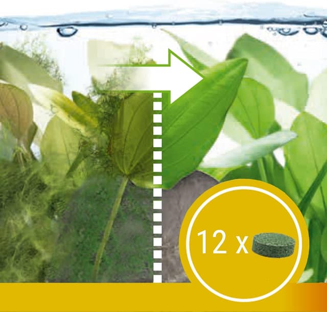 Detalle de Tetra Algetten 12 compresse ad effetto lungo per prevenire la proliferazione delle alghe