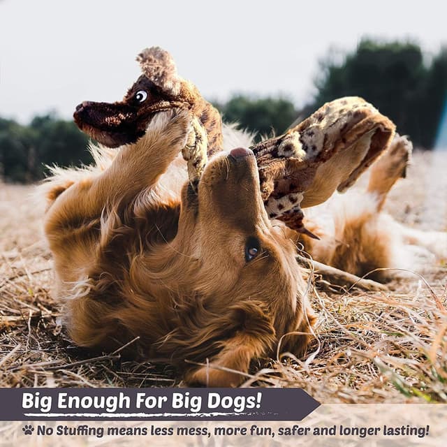 Detalle de Newthinking No Stuffing Dog Toys 5 Pack