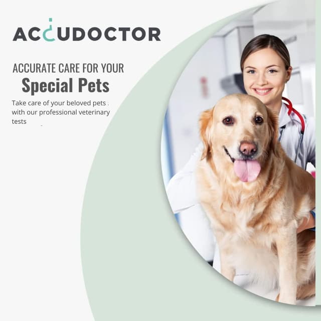 Detalle 2 de AccuDoctor 100 Urin-Teststreifen Haustiere 🐾