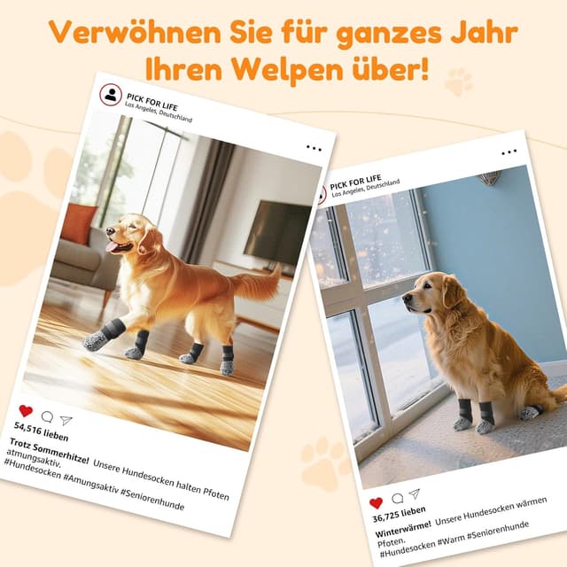 Thumbnail 6 de PICK FOR LIFE Hundesocken Anti-Rutsch Größe M Grau