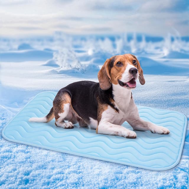 Detalle de Baodan Kühlmatte für Hunde, 75x55 cm – waschbare Selbstkühlung für heiße Sommertage