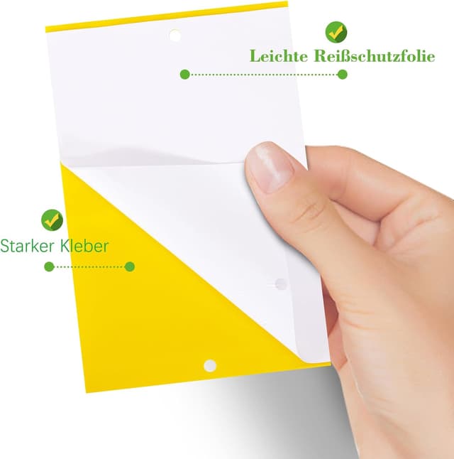 Detalle 2 de Gelbsticker für Trauermücken, 40 x 2er