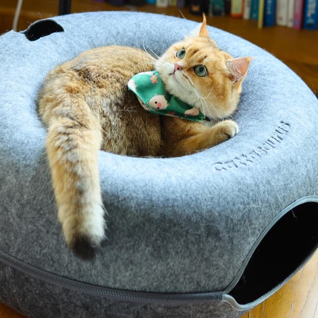 Thumbnail 5 de Cattasaurus Peekaboo Cat Cave Donut