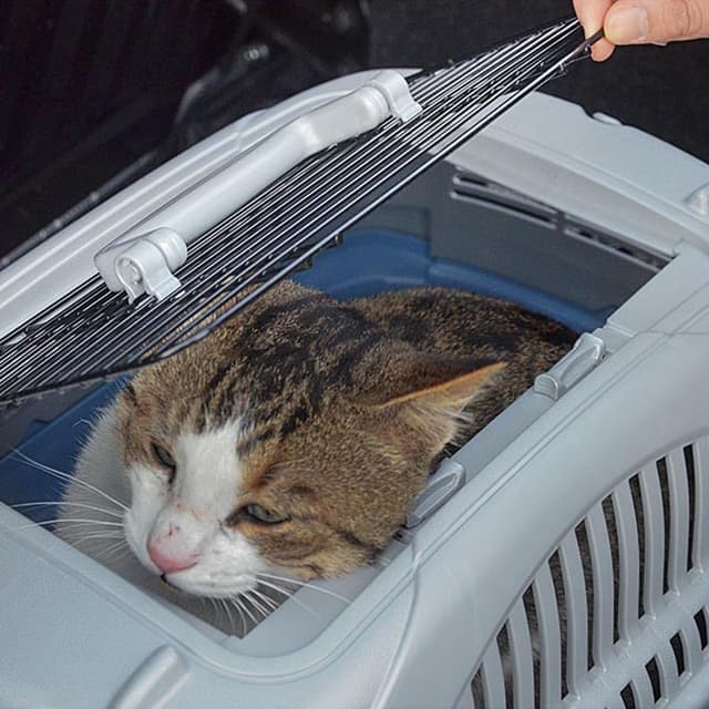 Thumbnail 4 de Ferplast Panier transport 5 kg 🐾